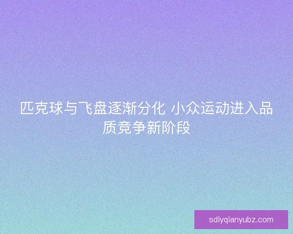 匹克球与飞盘逐渐分化 小众运动进入品质竞争新阶段